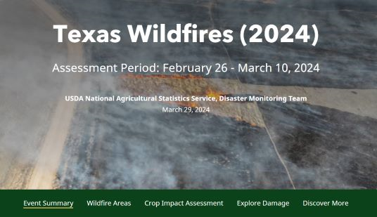 ArcGIS Story Map of Texas Wildfires 2024